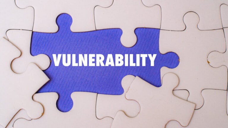 Vulnerability