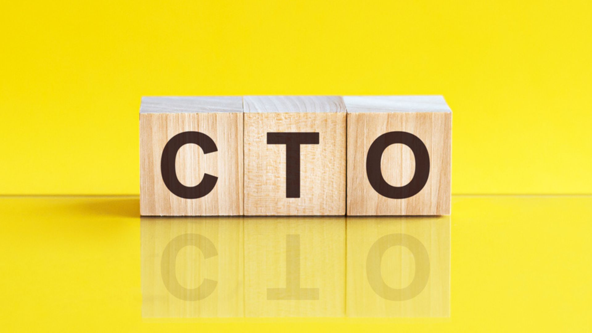 CTO, Chief Technology Officer
