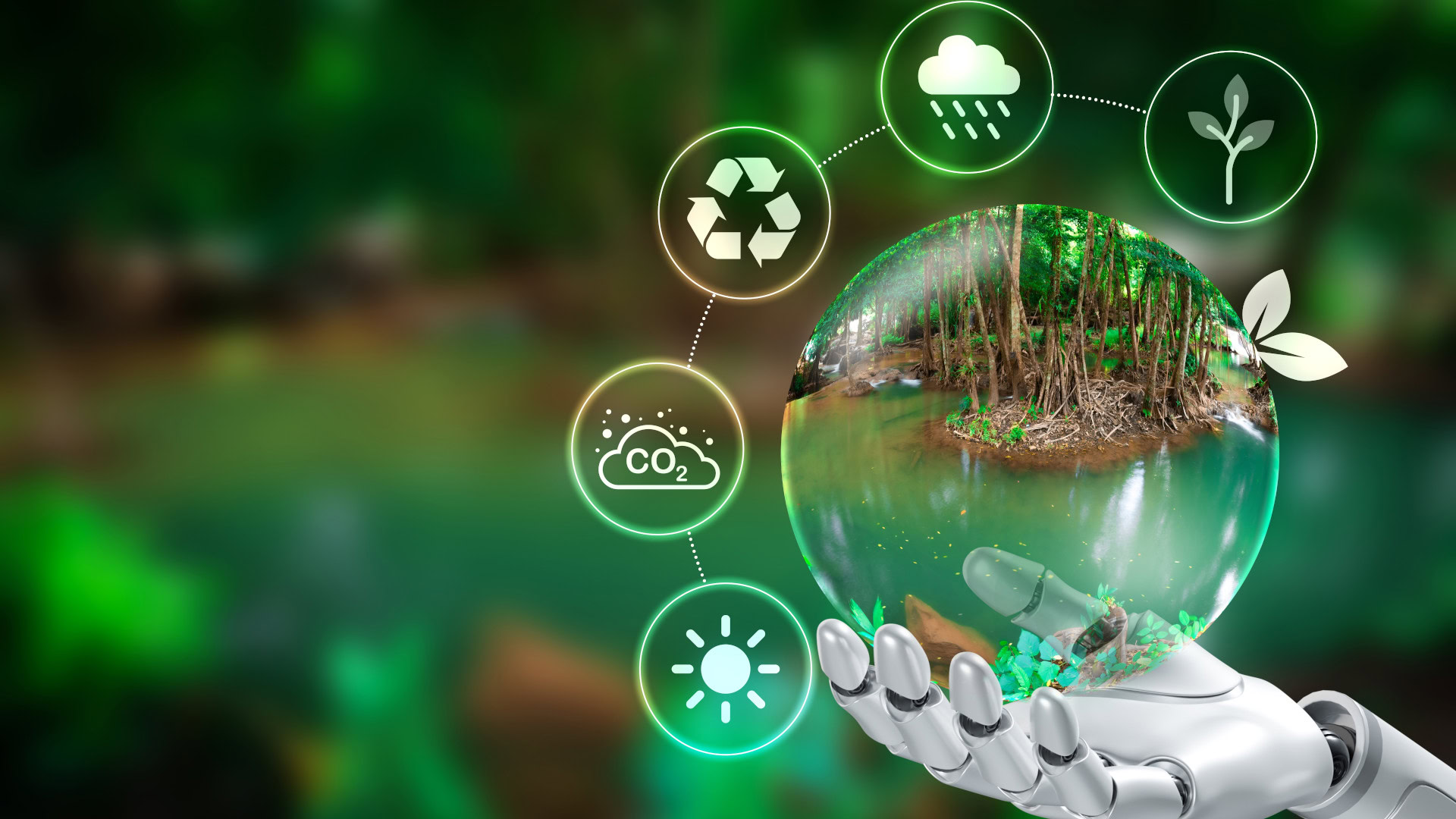 Naturschutz 4.0: Wie KI den Regenwald rettet