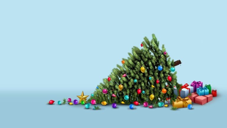 Phishing unter dem Weihnachtsbaum 2 Weihnachten, Weihnachtsbaum