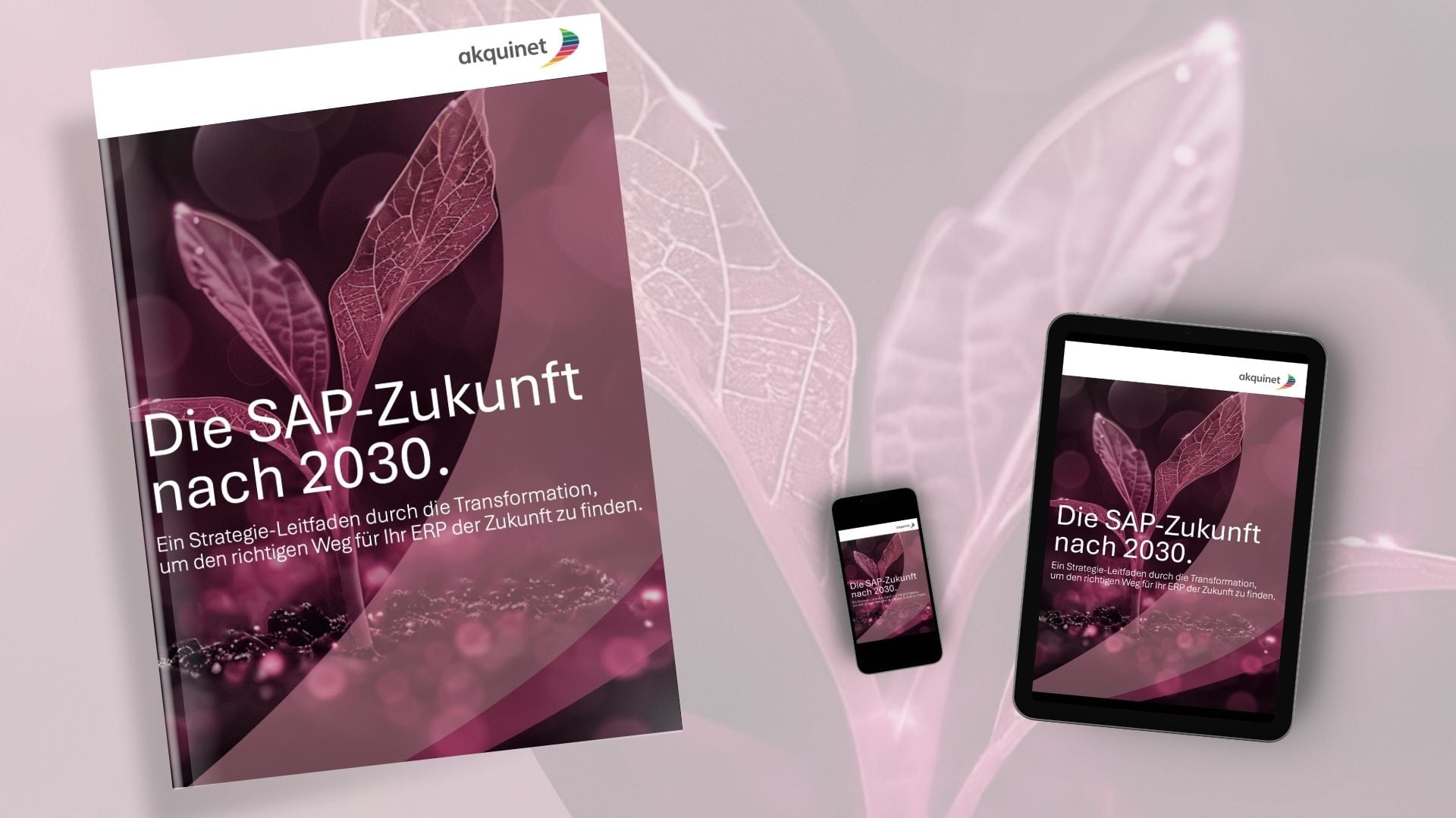 SAP Zukunft-Akquinet 1920x1080