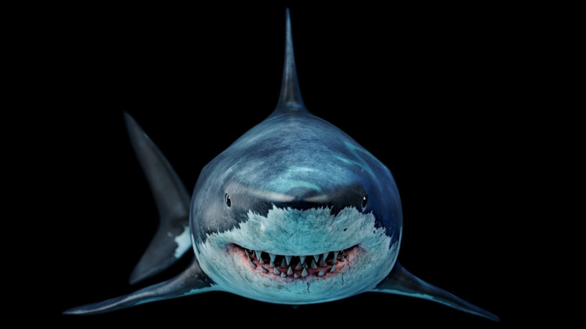 Megalodon-Malware infiziert Tausende GitHub-Repositories 1 Hai