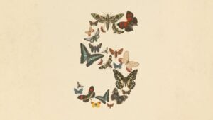 Claude Fable 5 Bildquelle: Anthropic