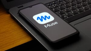 Meta, Muse